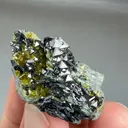 specimen video