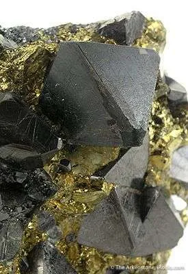 Magnetite in Chalcopyrite - image 2