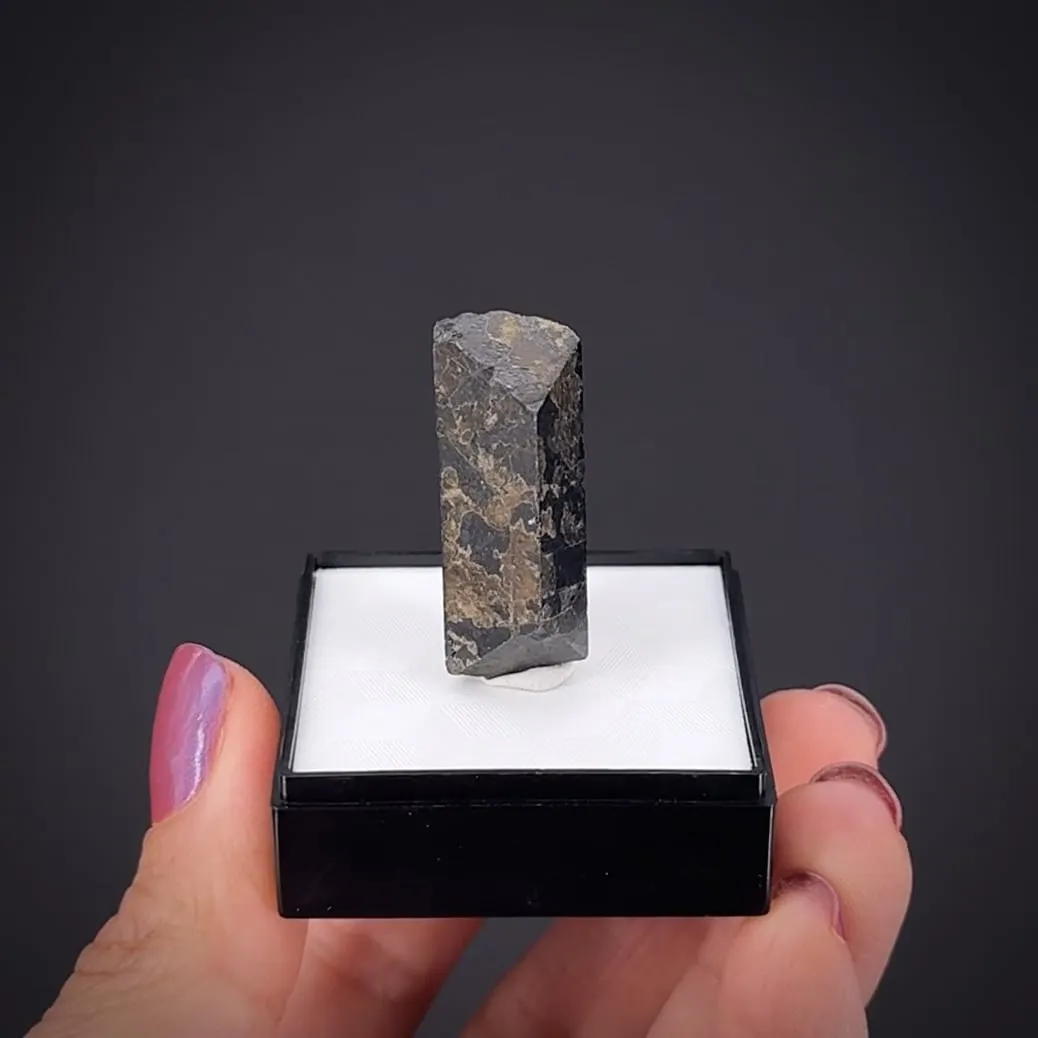 Magnetite (unusual crystal shape) - image 1