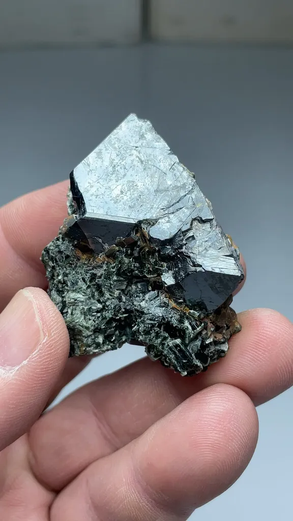 Magnetite with Actinolite - image 2