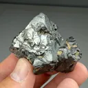 Magnetite with Fluorapatite (252) - image 2