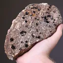 Magnetite with Rutile Hematite, ADULARIA and Quartz - image 2