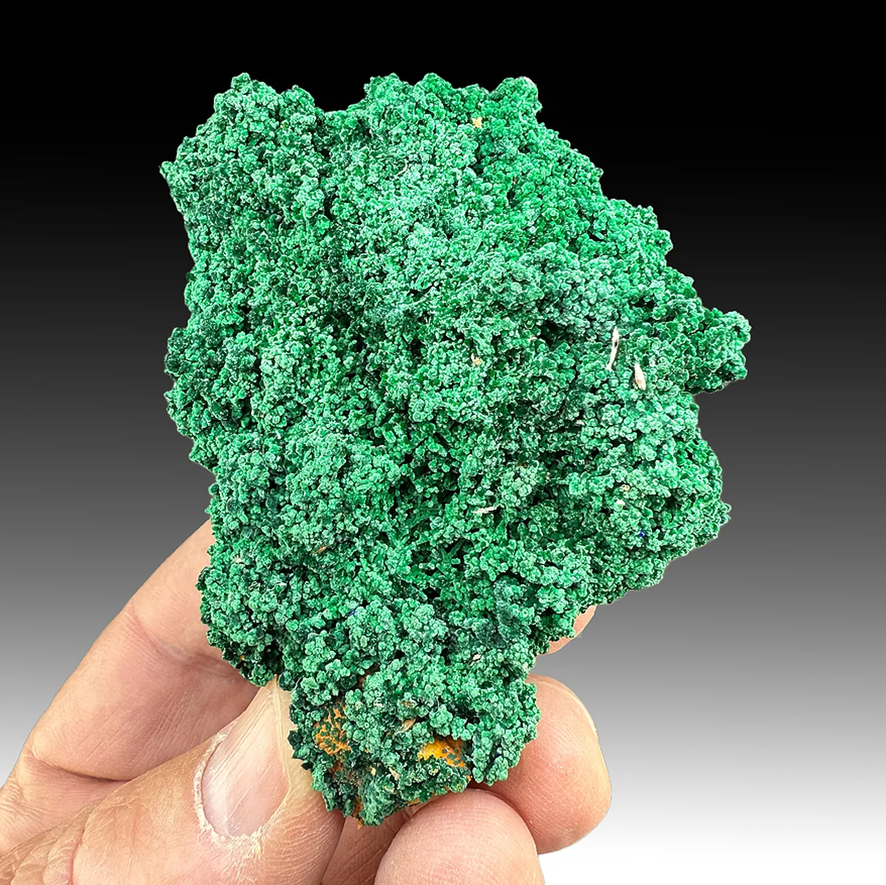 Malachite - image 1