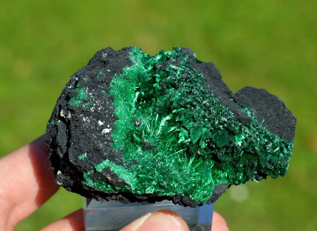 Malachite 100 grams - Luiswishi Mine, Kawama, Kipushi Territory, Haut-Katanga, DR Congo image