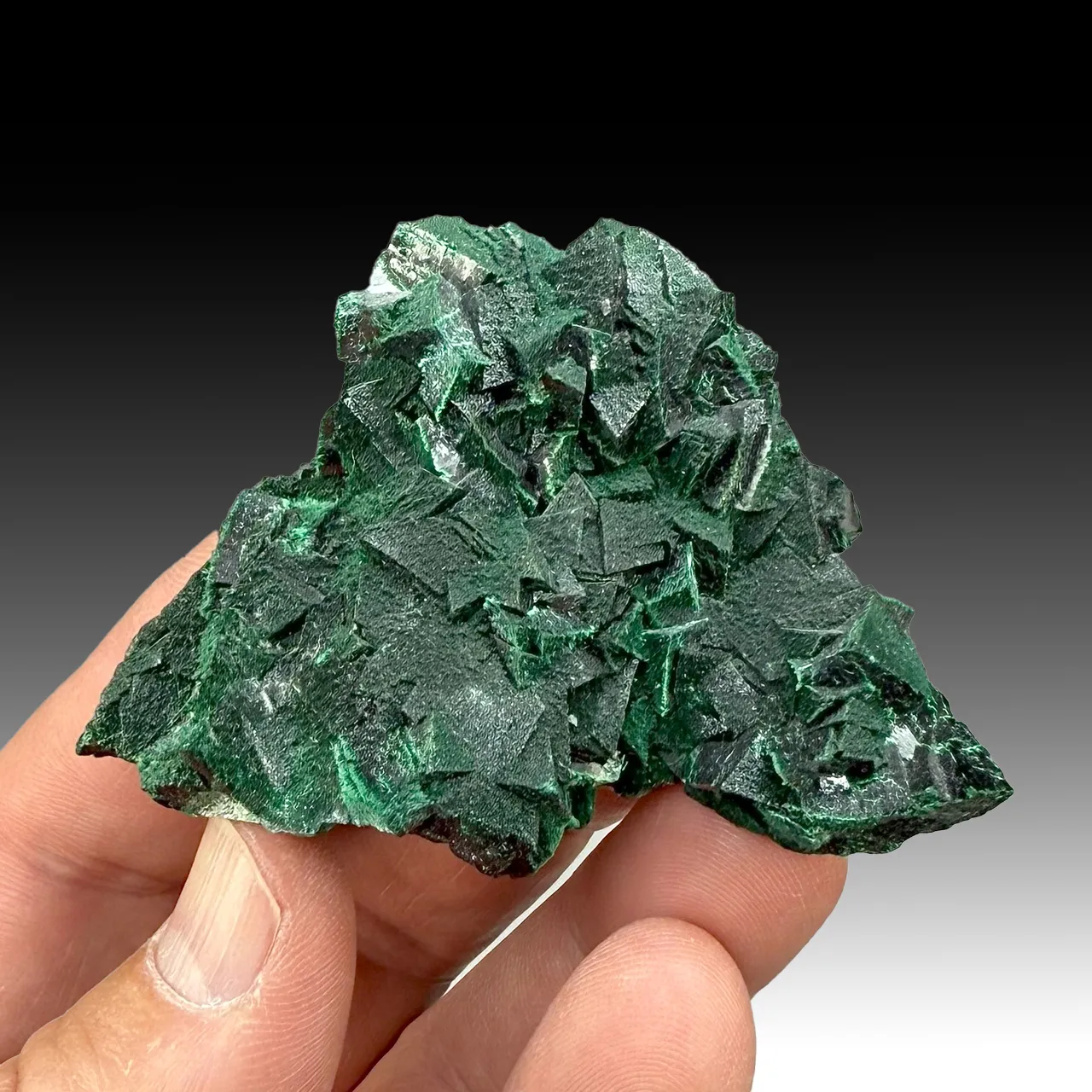Malachite (193) - image 1