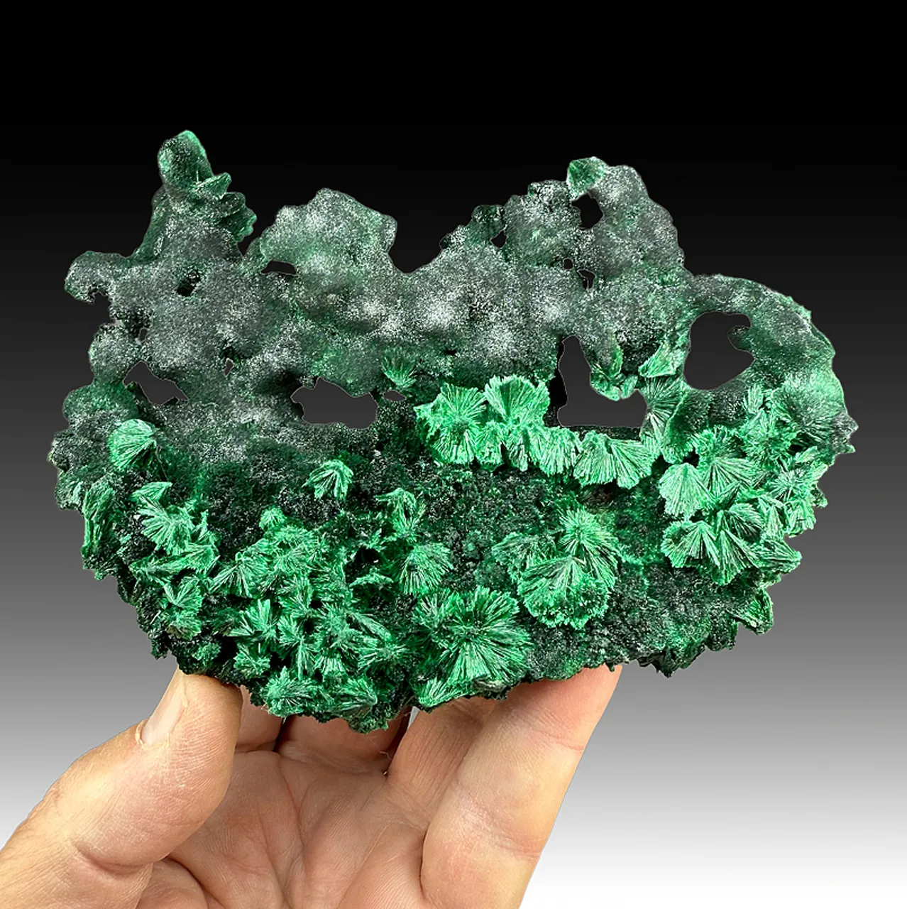 Malachite - image 1