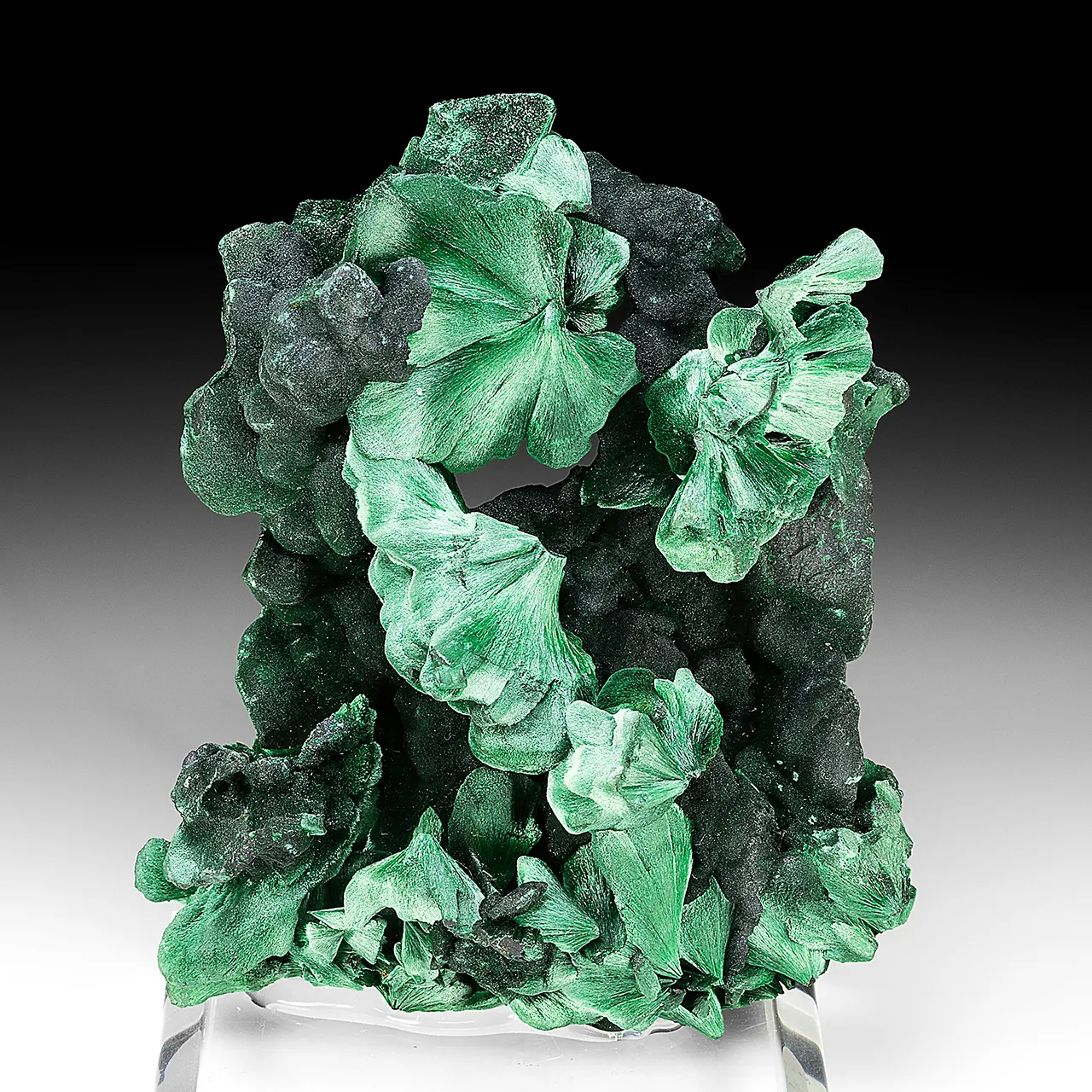 Malachite - image 1