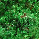 Malachite - image 2