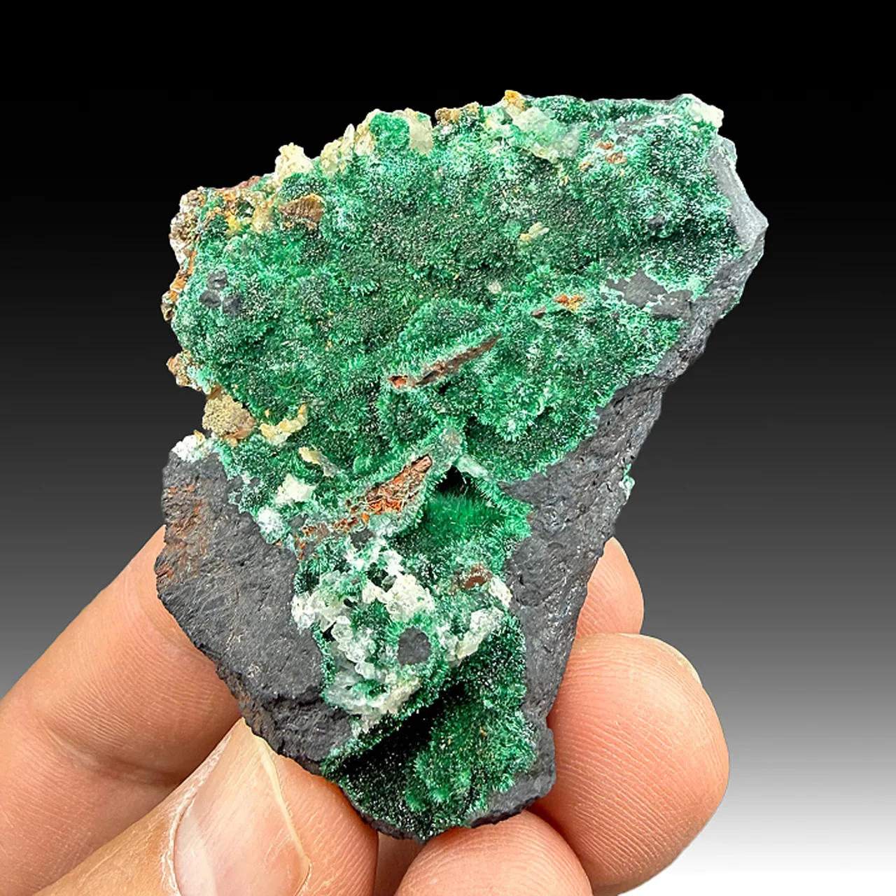 Malachite - image 1