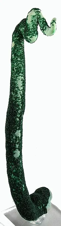 Malachite image