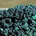 Malachite - 779 grams - Mashamba West Mine, Kolwezi mining district, Lualaba, DR Congo - image 4