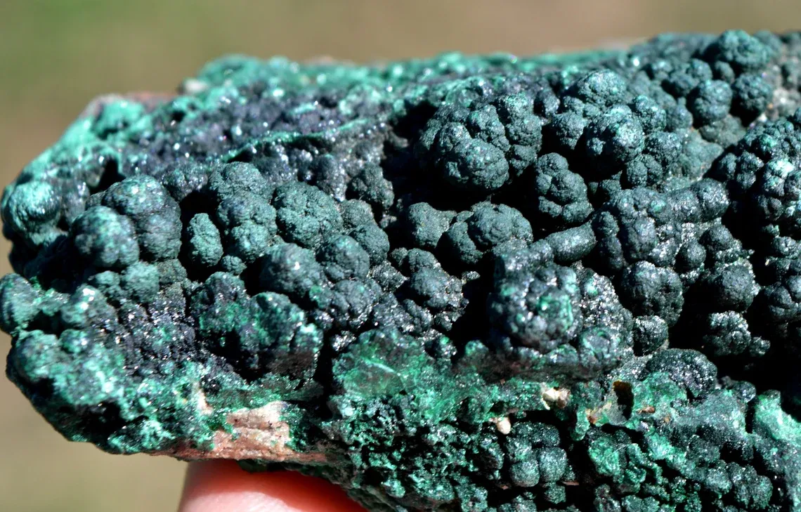 Malachite - 779 grams - Mashamba West Mine, Kolwezi mining district, Lualaba, DR Congo - image 5