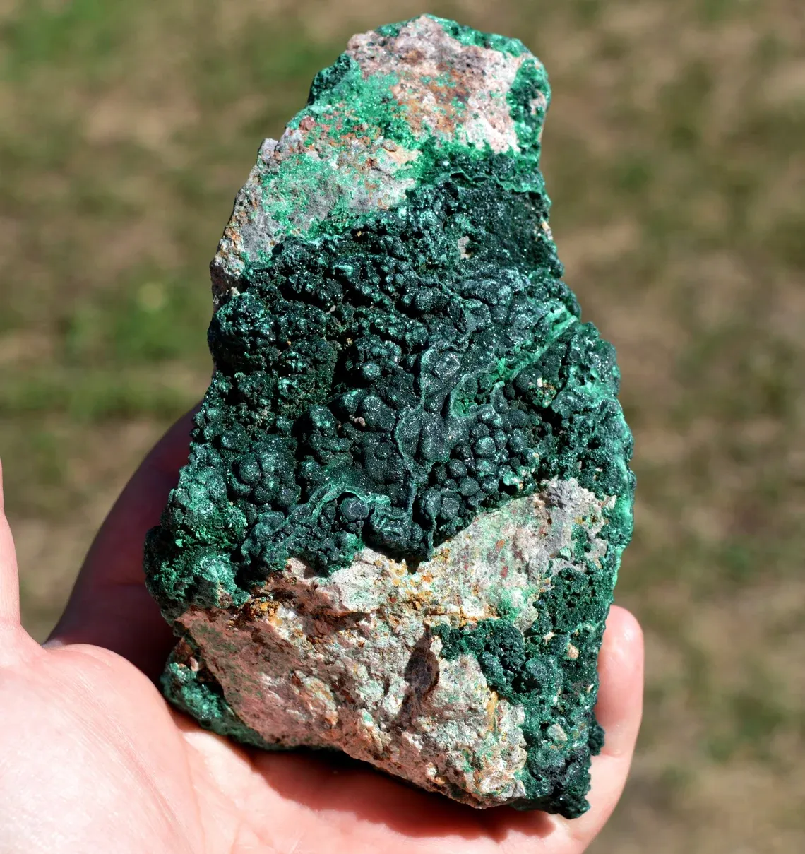 Malachite - 779 grams - Mashamba West Mine, Kolwezi mining district, Lualaba, DR Congo - image 2