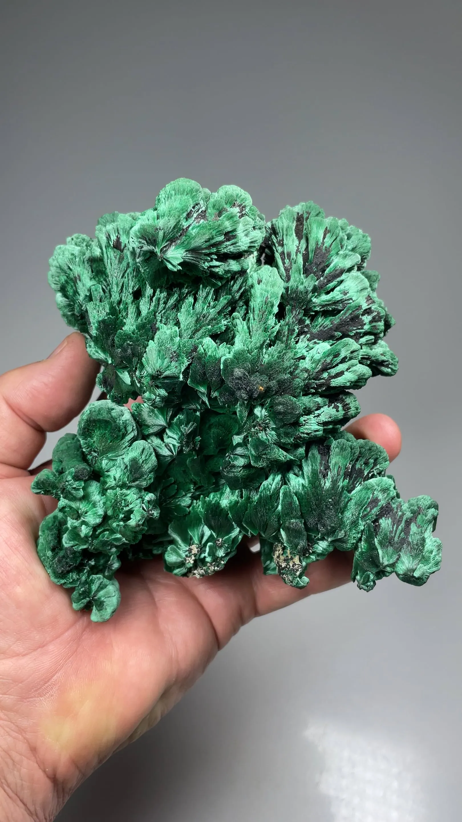 Malachite - image 2