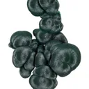 Malachite - image 1