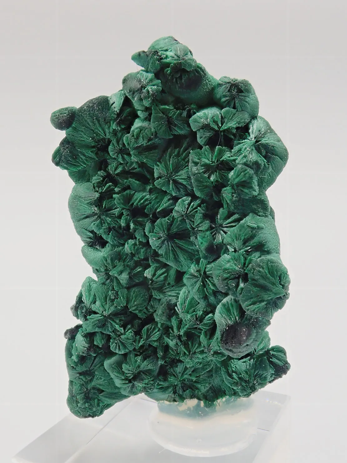 Malachite - image 4