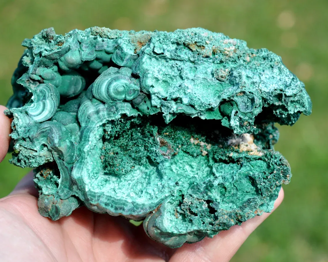 Malachite 907 grams - L'Etoile du Congo Mine, Lubumbashi, Haut-Katanga, DR Congo - image 4