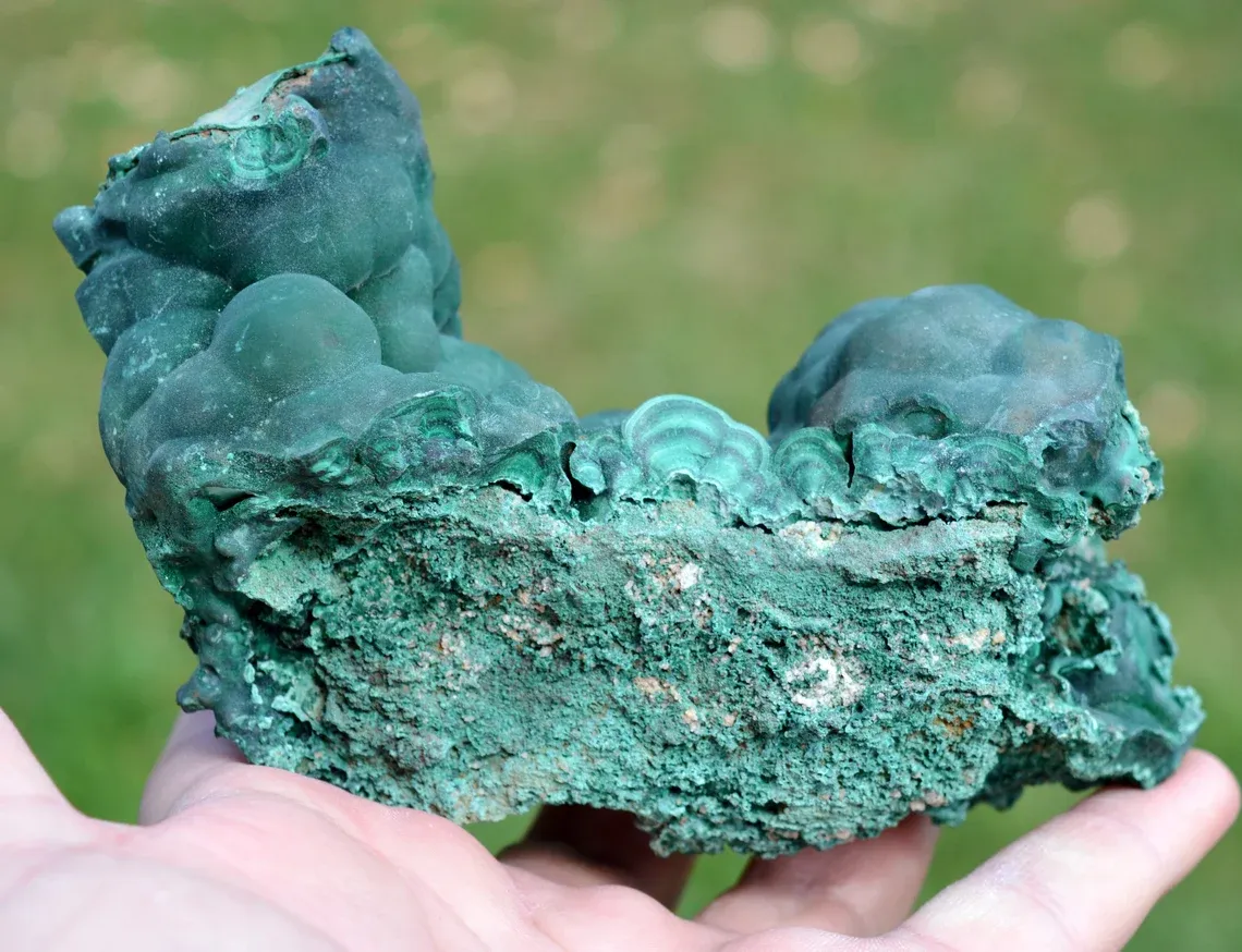 Malachite 907 grams - L'Etoile du Congo Mine, Lubumbashi, Haut-Katanga, DR Congo - image 2