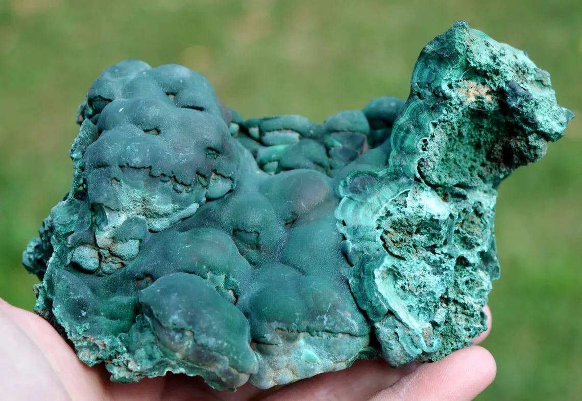 Malachite 907 grams - L'Etoile du Congo Mine, Lubumbashi, Haut-Katanga, DR Congo - image 3