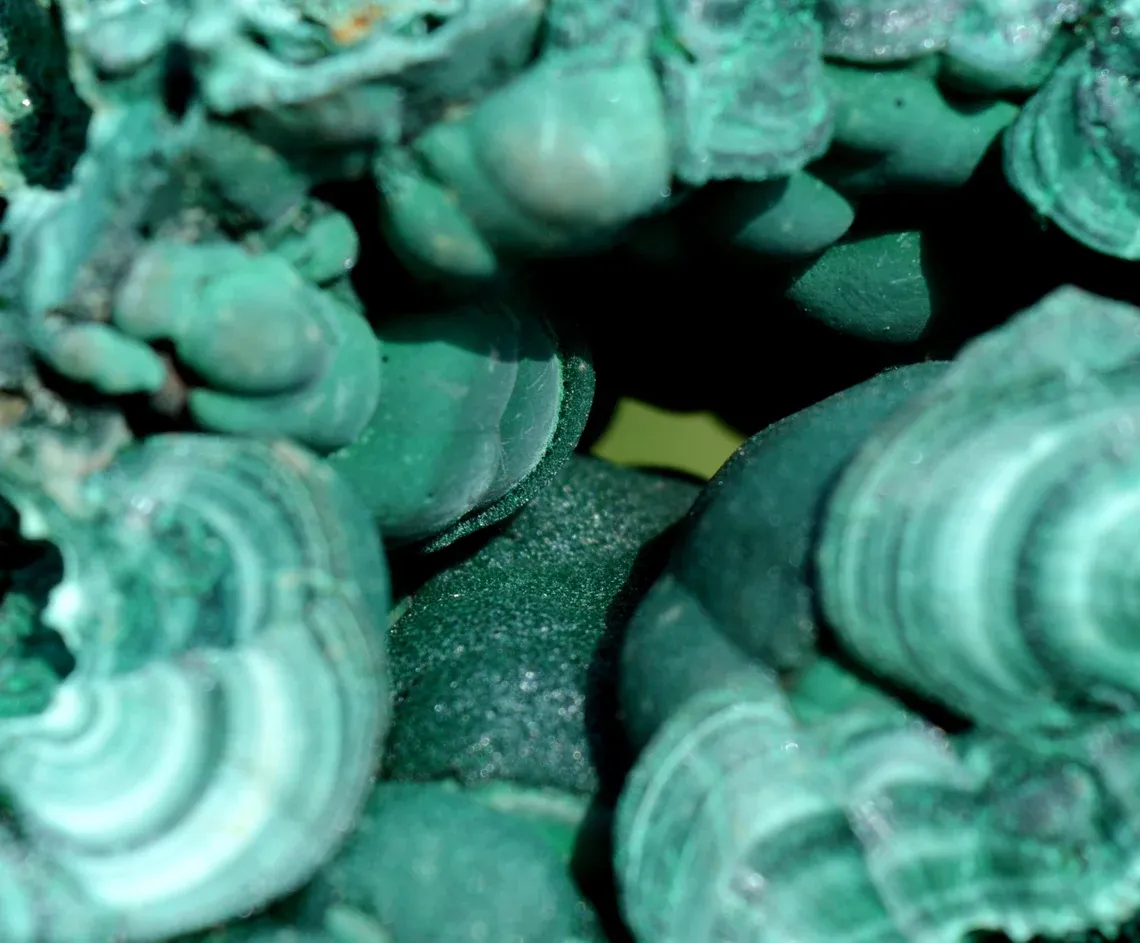 Malachite 907 grams - L'Etoile du Congo Mine, Lubumbashi, Haut-Katanga, DR Congo - image 6