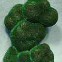 Malachite - image 2