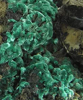 Malachite - image 2
