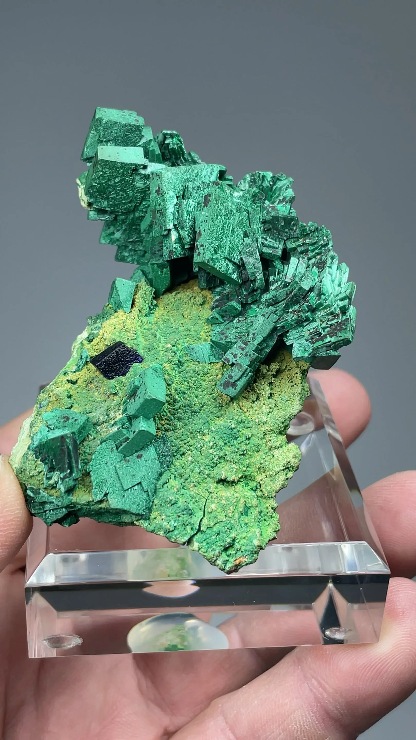 Malachite after Azurite - image 2