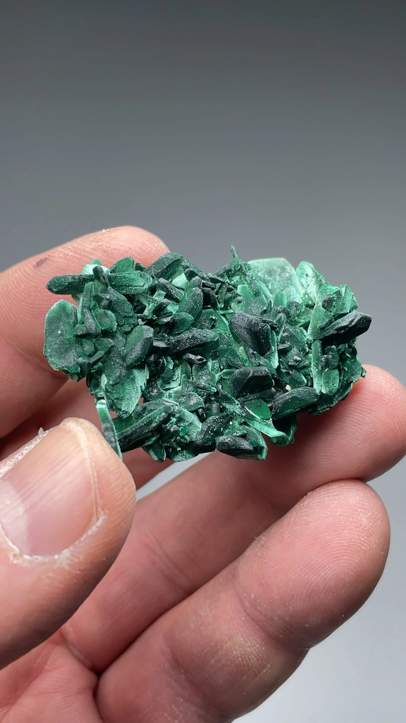 Malachite after Azurite - image 2