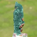 Malachite after Azurite 59 grams - Touissit, Jerada Province, Oriental Region, Morocco - image 2