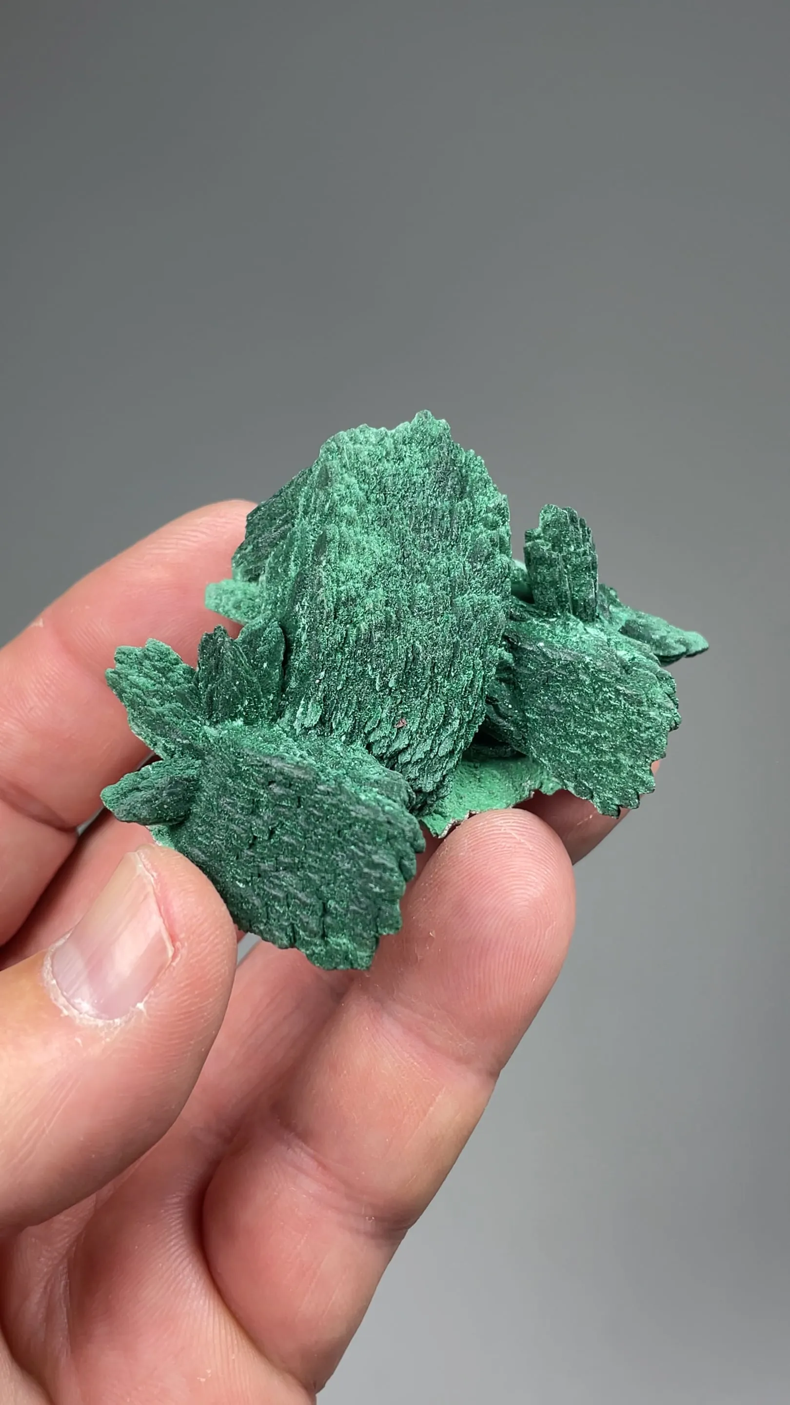 Malachite after Azurite - image 2
