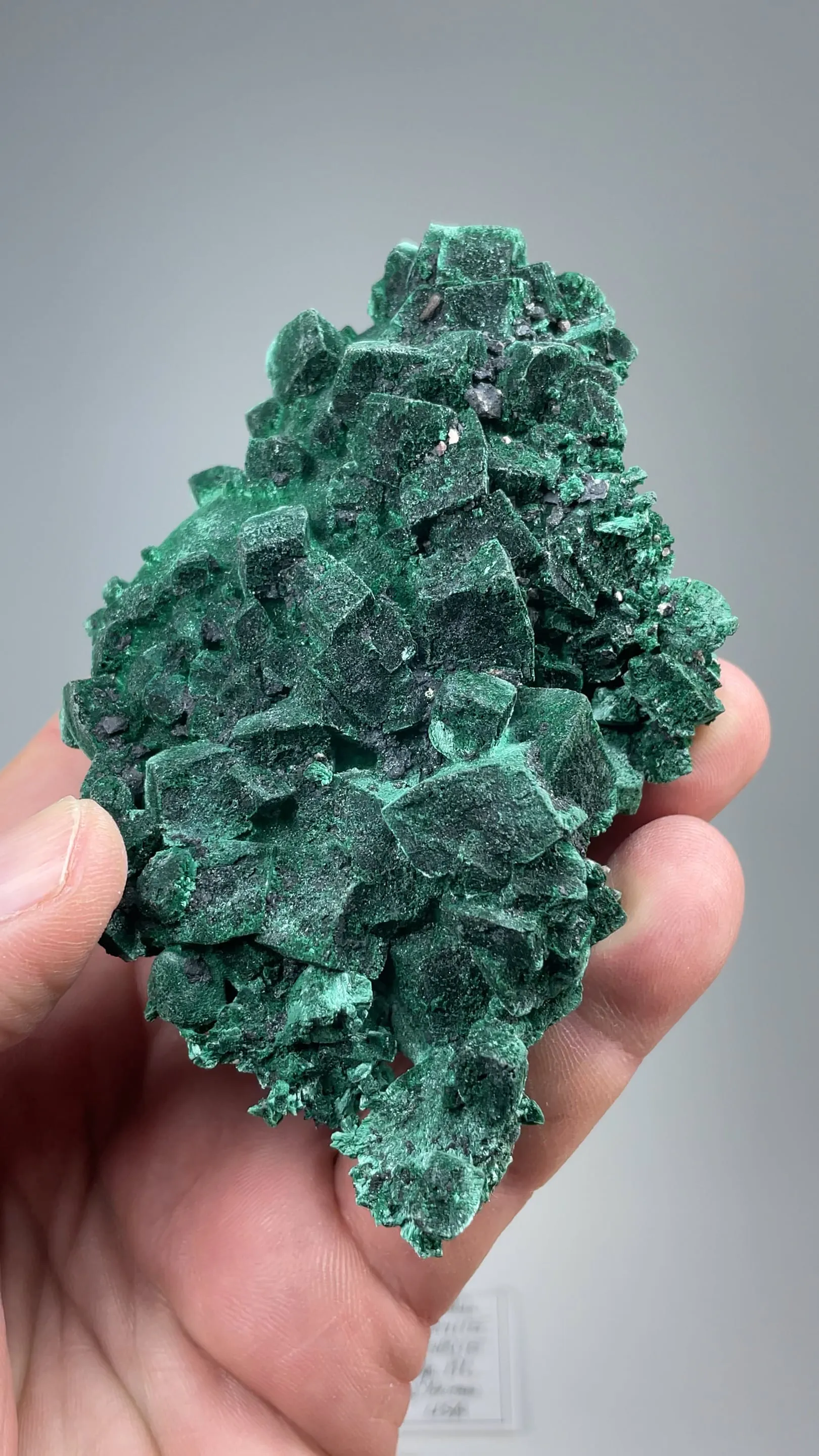 Malachite after Azurite - image 2
