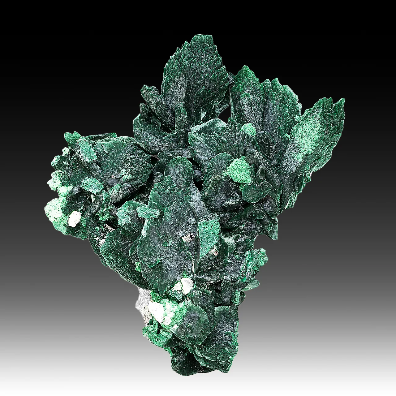 Malachite after Azurite - image 1