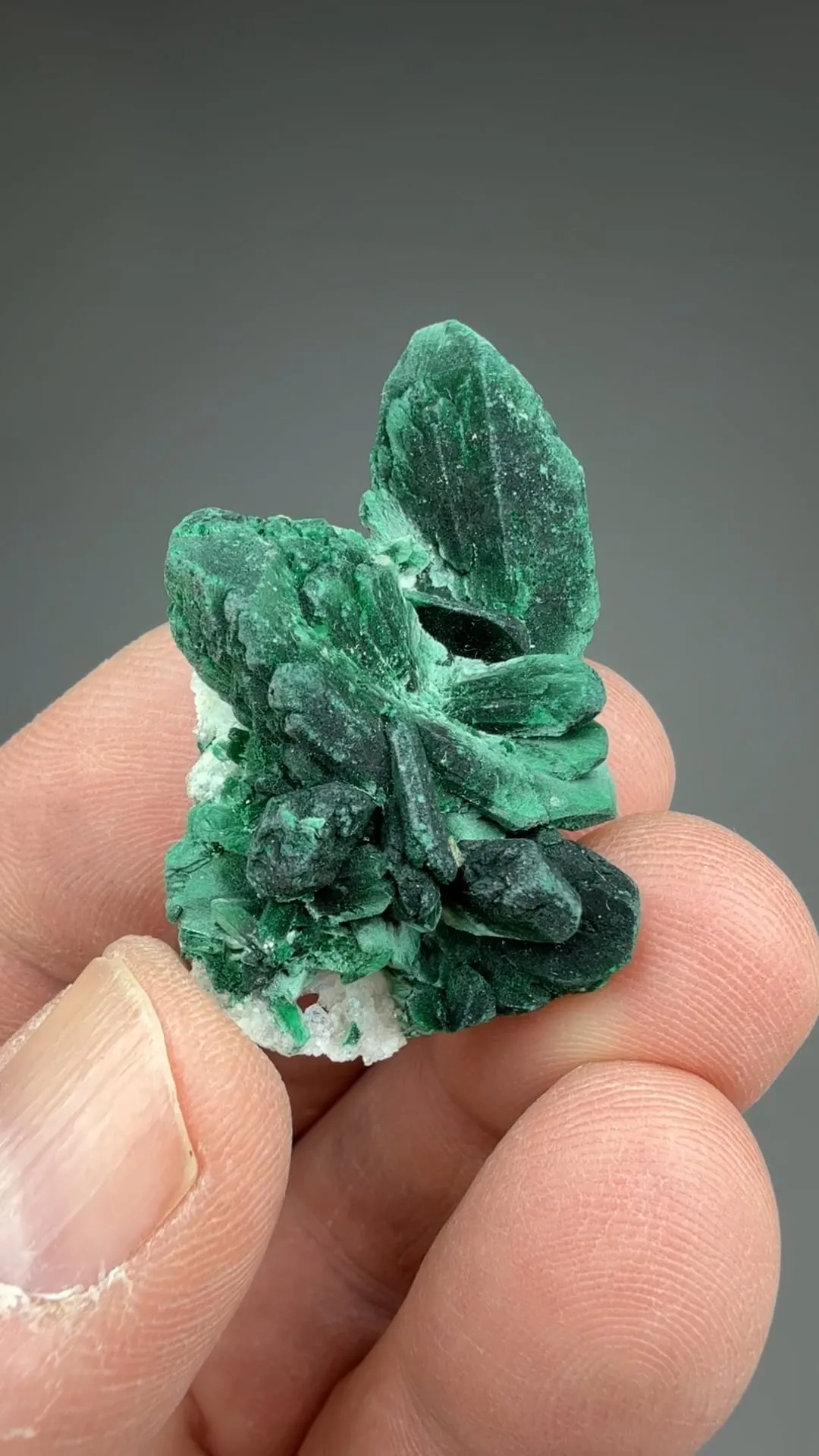 Malachite after Azurite - image 2