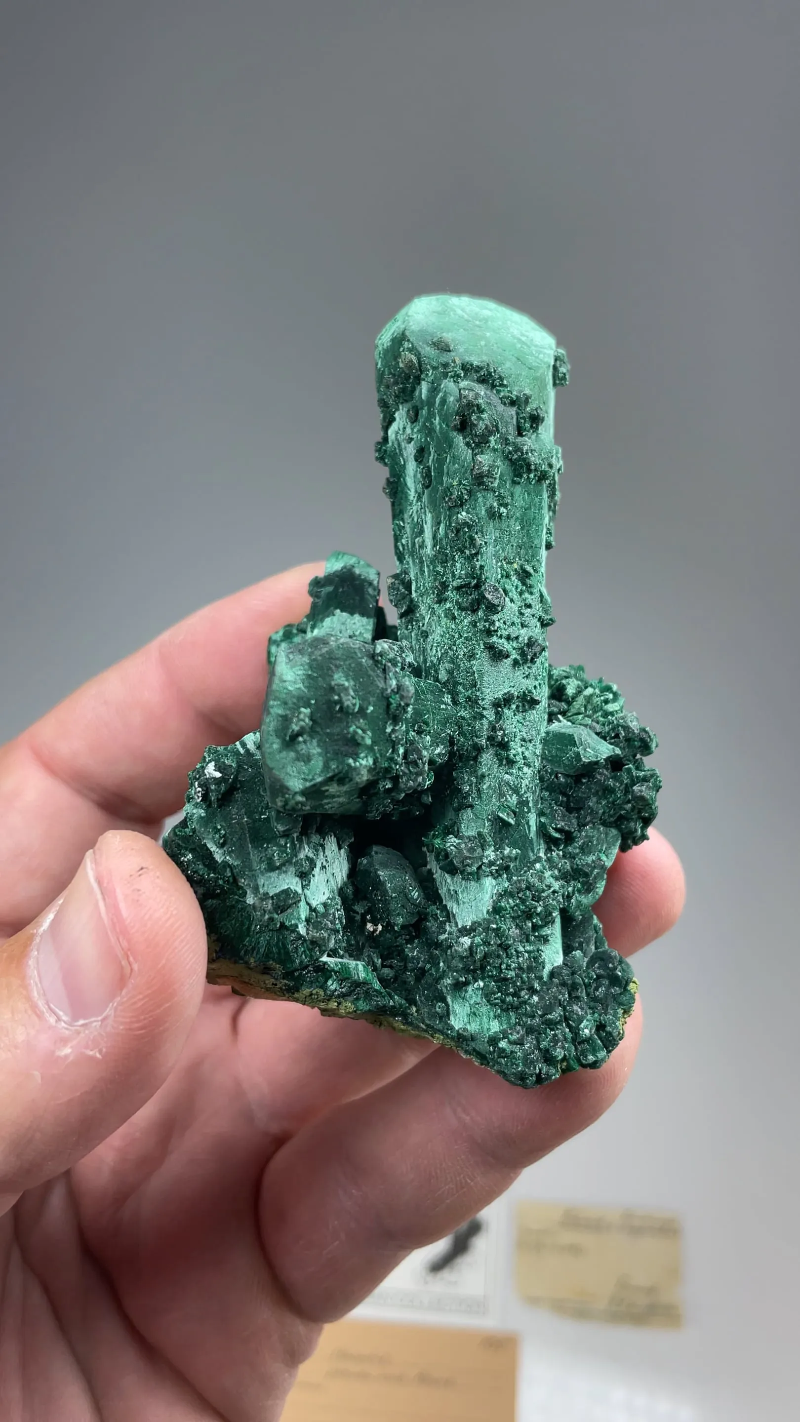Malachite after Azurite - image 2