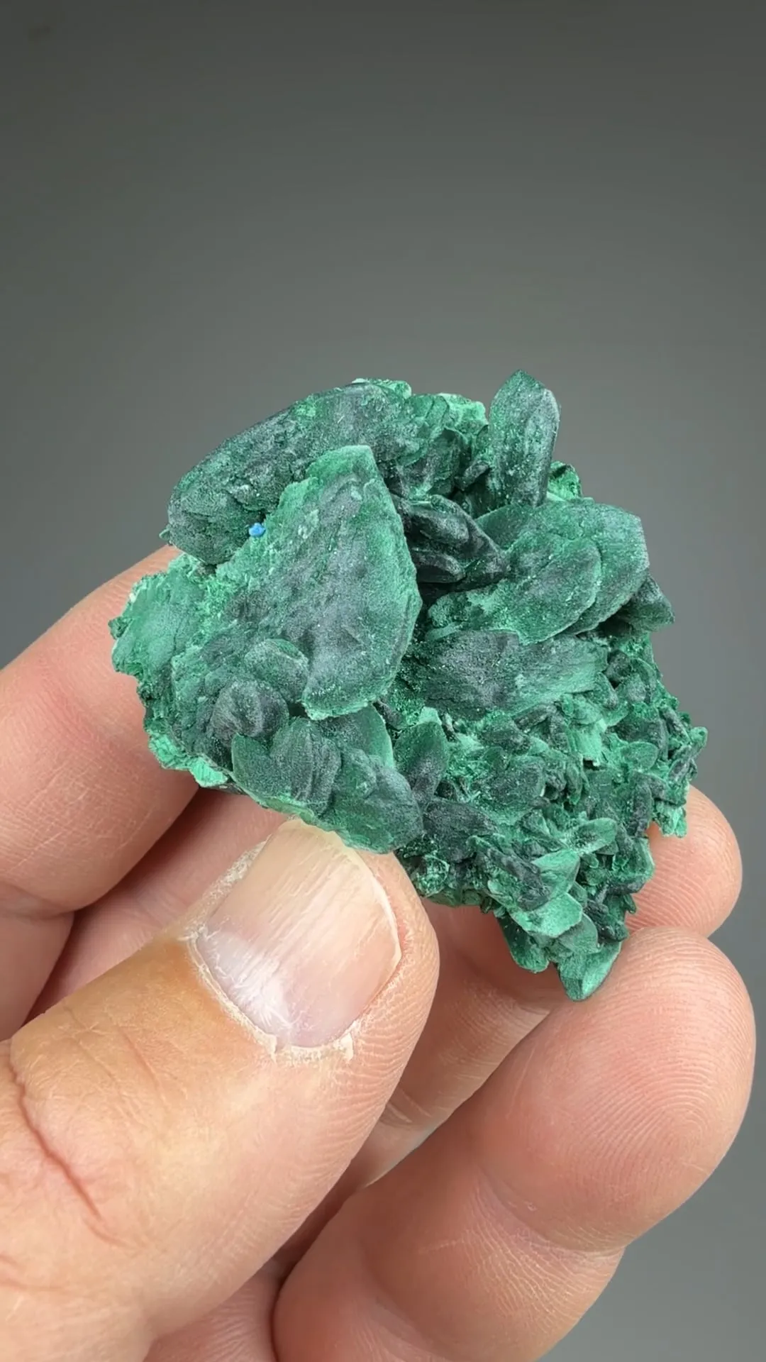 Malachite after Azurite - image 2