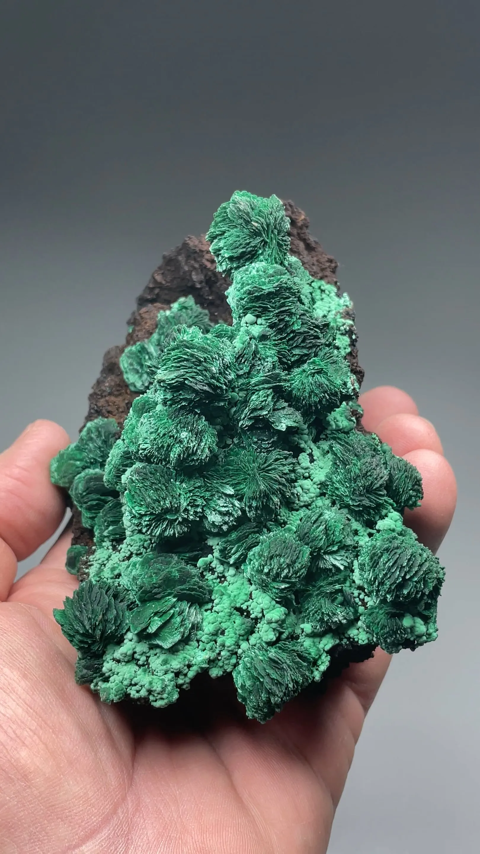 Malachite after Azurite - image 2