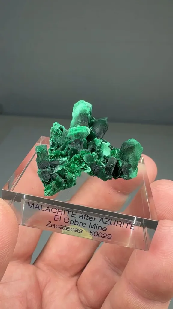 Malachite after Azurite (O-0008) image