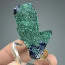 Malachite after Azurite with Azurite - image 2