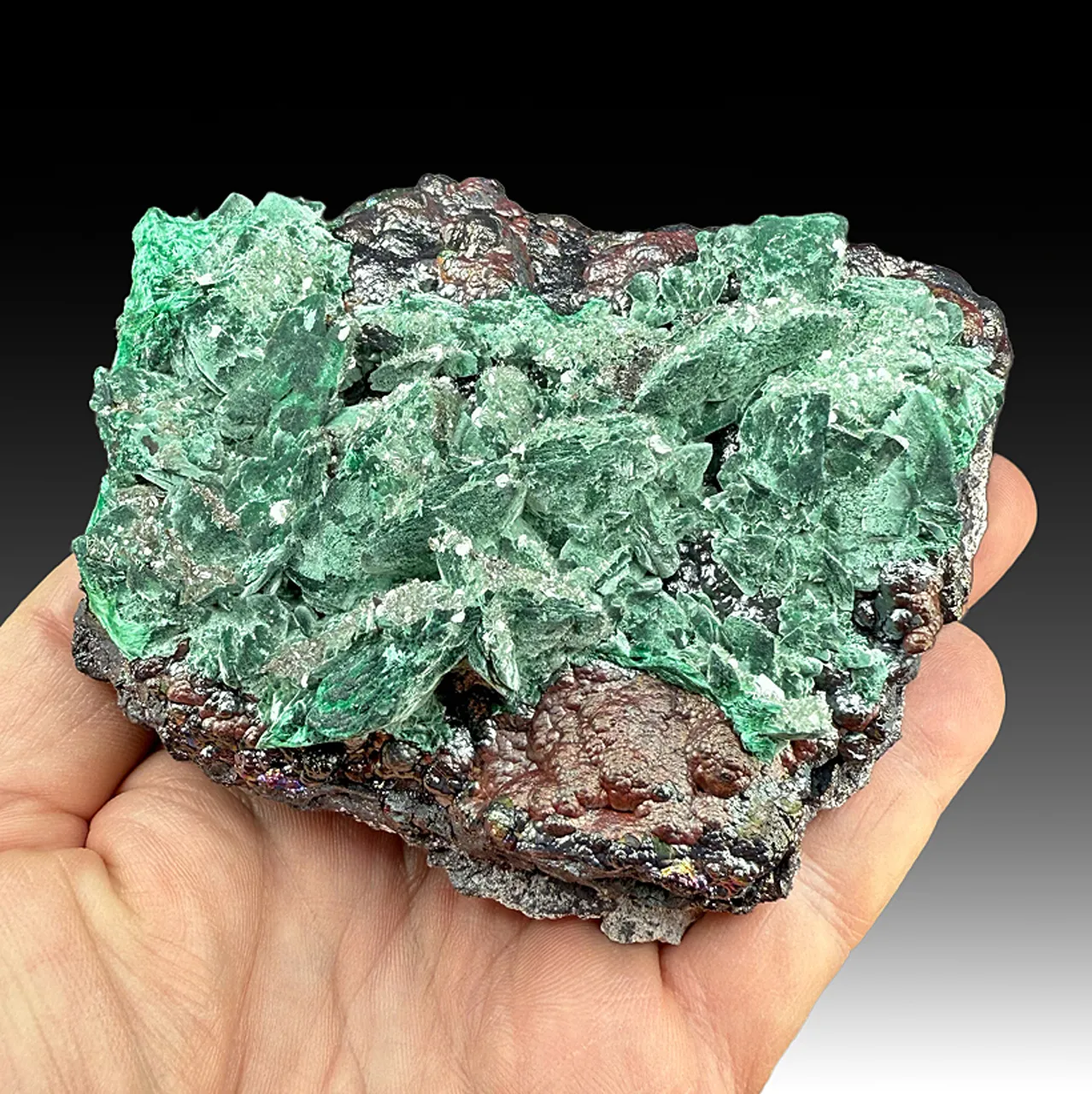 Malachite after Azurite with Barite - image 1