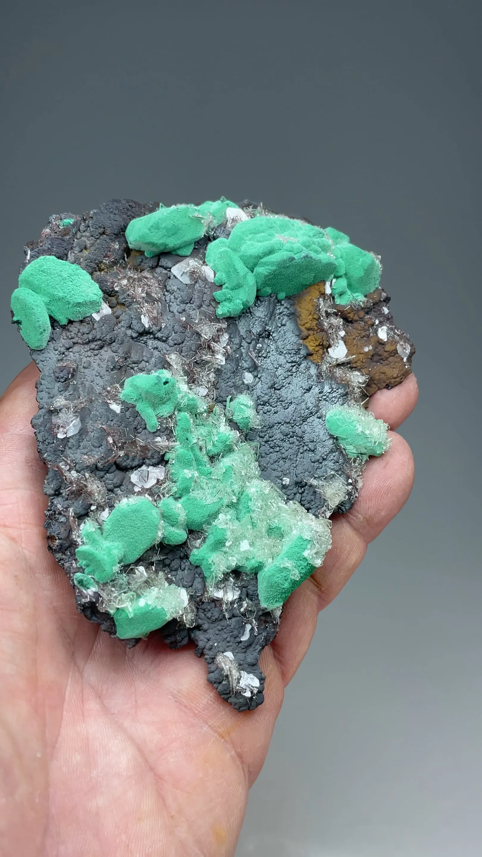 Malachite after Azurite with Barite, Goethite - image 2