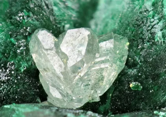 Malachite after Azurite with Cerussite image