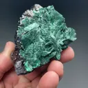 Malachite after Azurite with Goethite - image 2