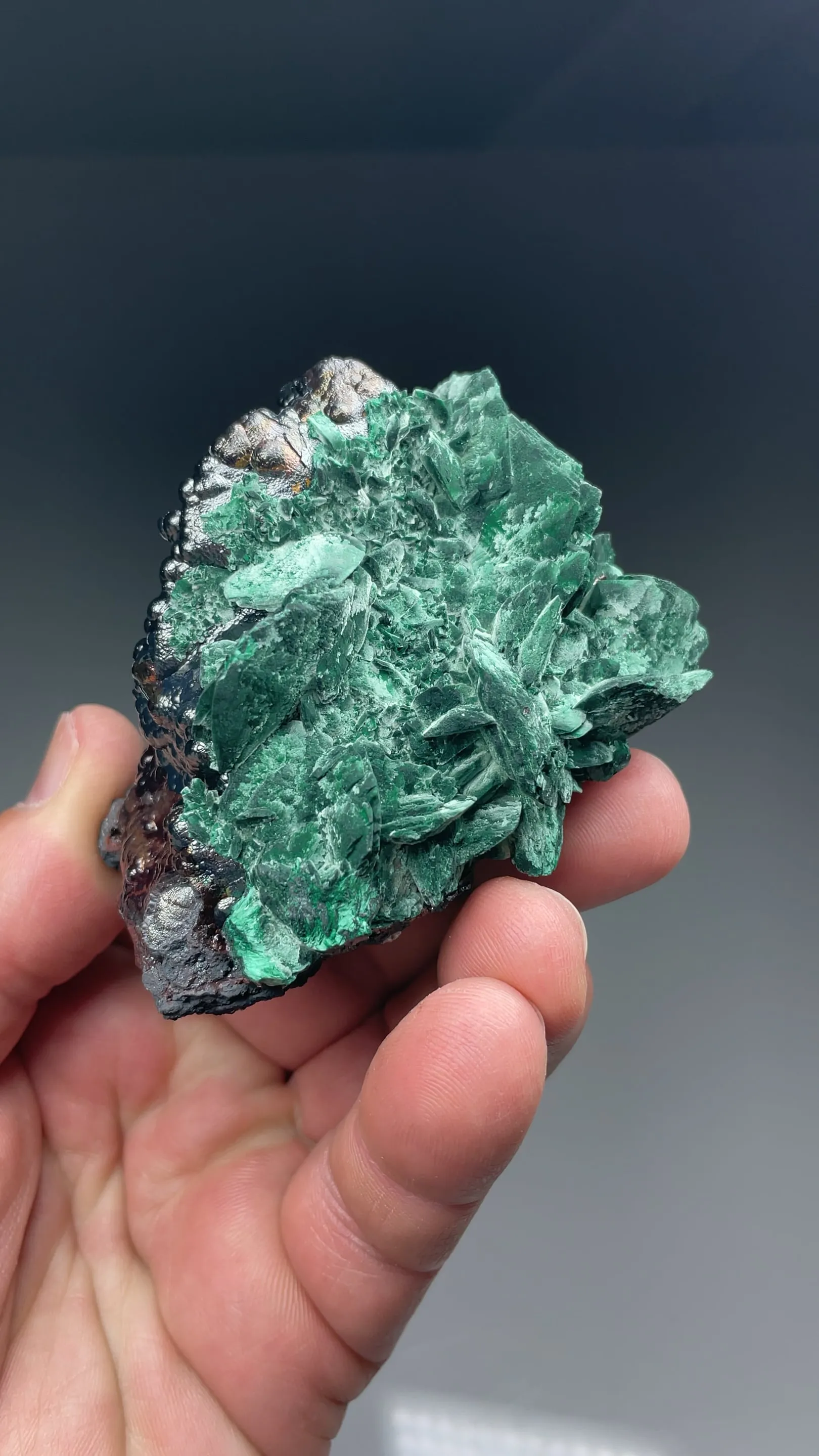 Malachite after Azurite with Goethite - image 2