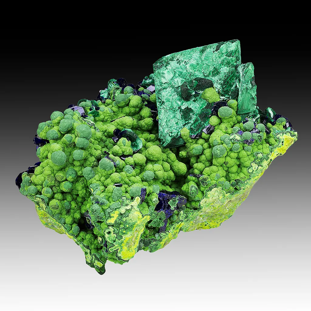 Malachite after Azurite with Mottramite, Azurite image