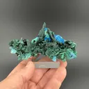 Malachite after Azurite with Plancheite - image 2