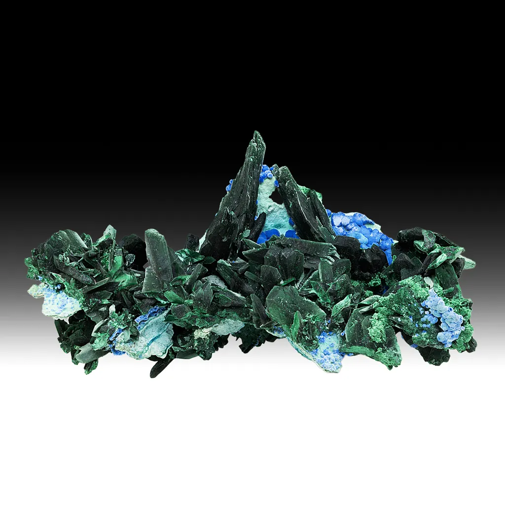 Malachite after Azurite with Plancheite image