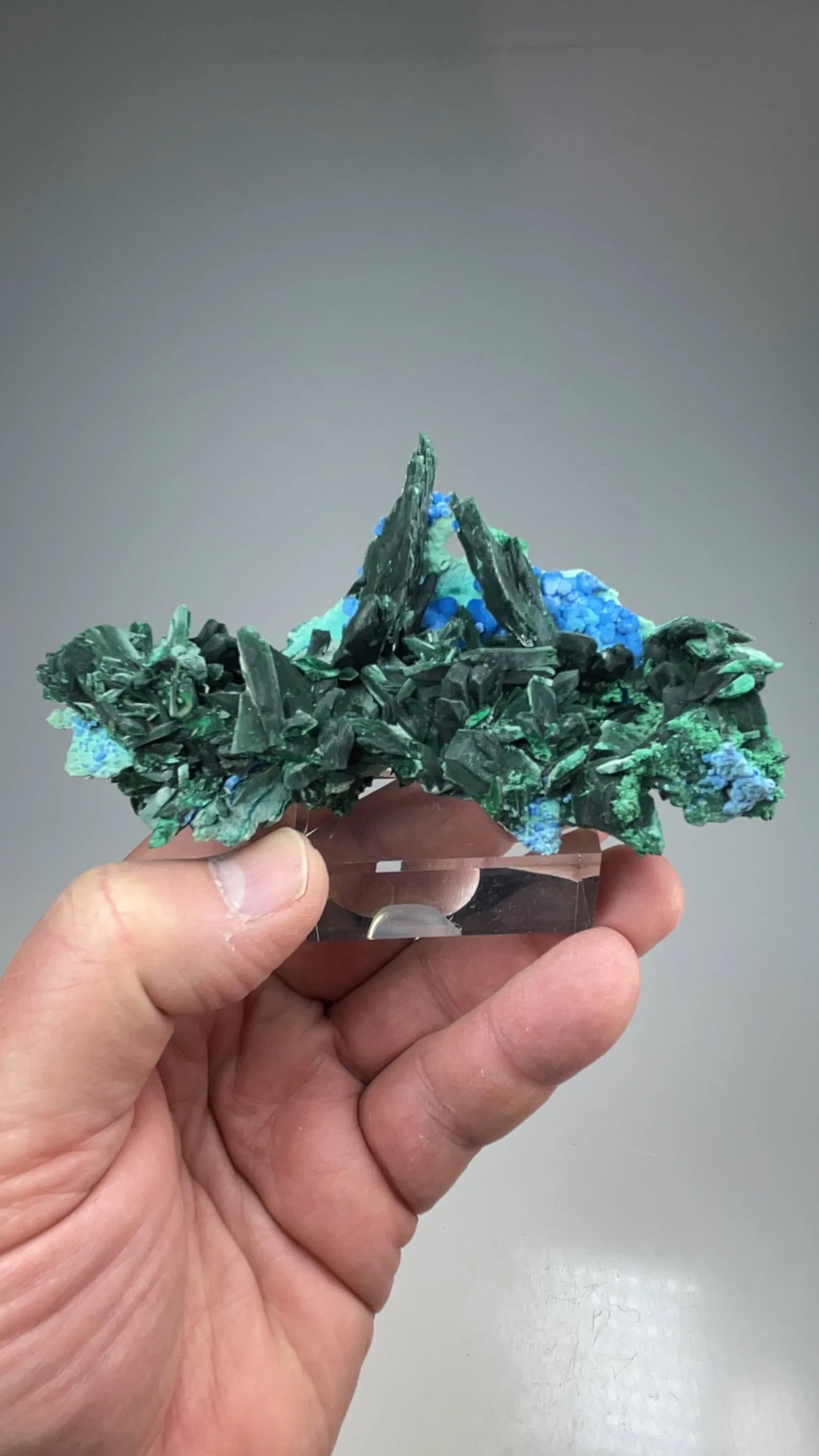 Malachite after Azurite with Plancheite - image 2