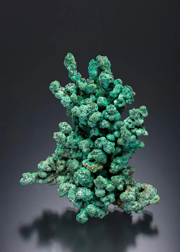 Malachite After Cuprite on NATIVE Copper image