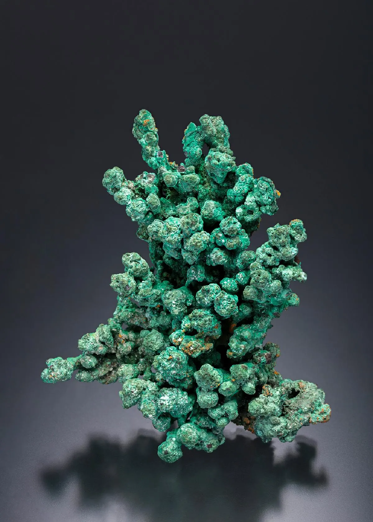 Malachite After Cuprite on NATIVE Copper - image 1