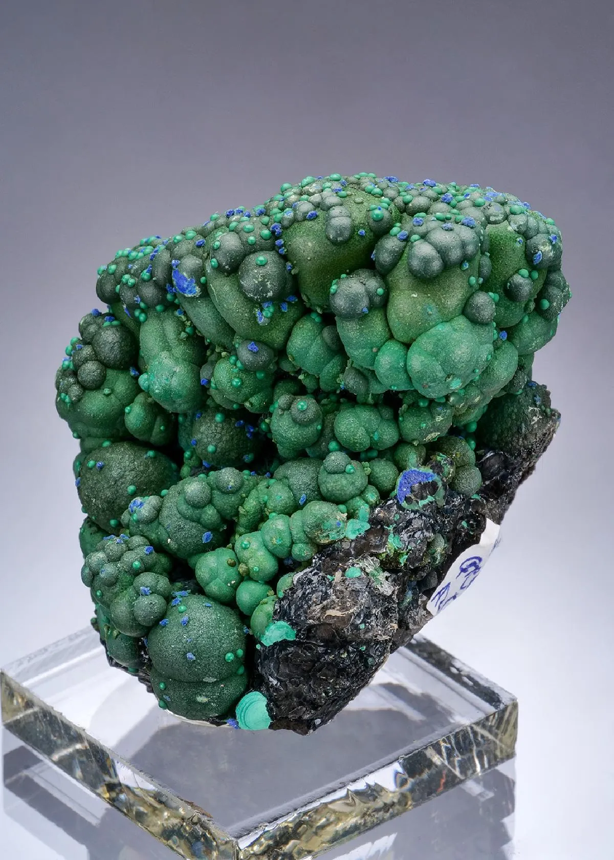 Malachite and Azurite on Chrysocolla/TENORITE - image 1